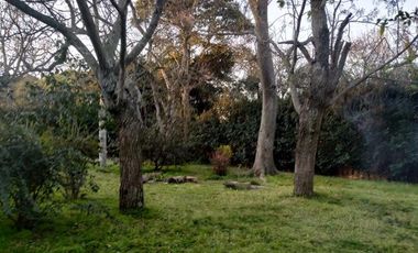 Campo - Berisso