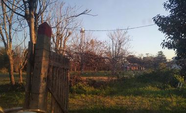Campo - Berisso