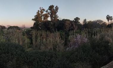 Campo - Berisso