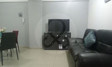 Departamento en renta en Palo Solo
