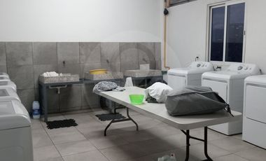 Departamento en renta en Palo Solo