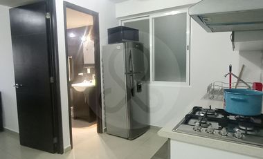Departamento en renta en Palo Solo
