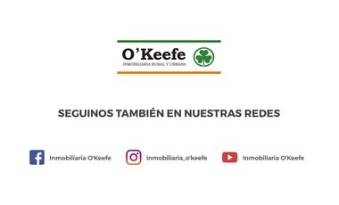 Terreno en venta en Bernal, ideal desarrollo inmobiliario habitacional.