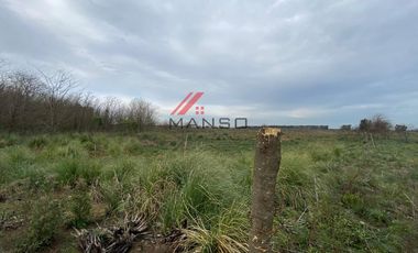 21 Ha. Campo en  Marcos Paz cercano a 20 de Junio