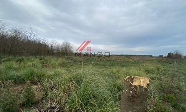 21 Ha. Campo en  Marcos Paz cercano a 20 de Junio