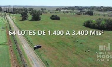 Terreno en venta  Loma Verde