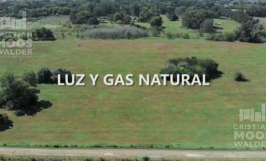 Terreno en venta  Loma Verde