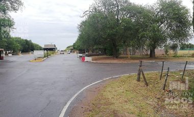 Terreno en venta  Loma Verde