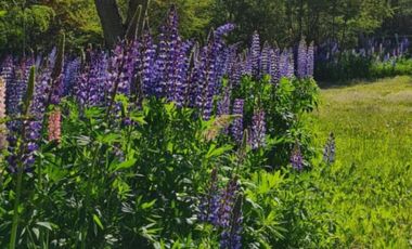 CASA EN CLUB DE CAMPO