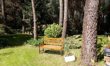Cariló cod 652 - Vacaciones de verano 2024 - Consulte oportunidad