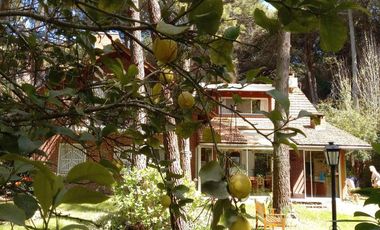 Cariló cod 652 - Vacaciones de verano 2024 - Consulte oportunidad