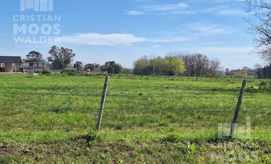 Terreno en venta - Loma Verde