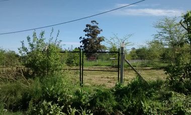 Terreno en Alquiler en 141 e/ 415 y 417 Villa Elisa - Alberto Dacal Propiedades