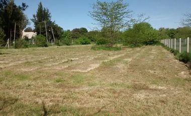 Terreno en Alquiler en 141 e/ 415 y 417 Villa Elisa - Alberto Dacal Propiedades