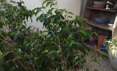 PH en Venta en 528/8 y 9 La Plata - Alberto Dacal Propiedades
