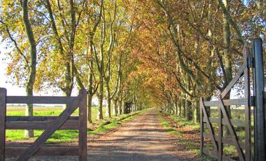 El mejor terreno en Azahares del Paraná, apto permuta