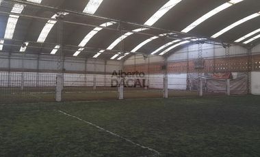 Local - La Plata