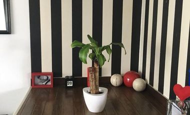 Departamento - La Plata