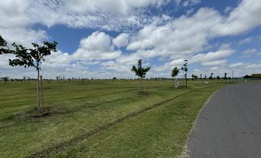 Terreno con frente sur en Vida Club de Campo - 61