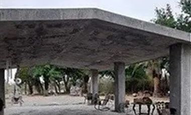 TERRENO CAMPESTRE EN VENTA EN CIENEGA DE FLORES