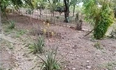 TERRENO CAMPESTRE EN VENTA EN CIENEGA DE FLORES