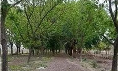 TERRENO CAMPESTRE EN VENTA EN CIENEGA DE FLORES