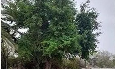 TERRENO CAMPESTRE EN VENTA EN CIENEGA DE FLORES