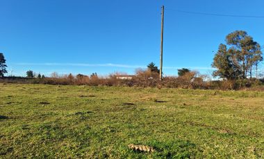 ESPECTACULAR CAMPO CON CASA  DE 3 HECTÁREA