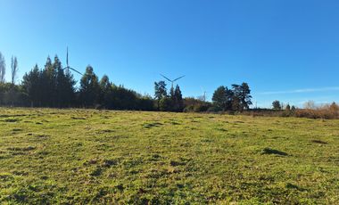 ESPECTACULAR CAMPO CON CASA  DE 3 HECTÁREA
