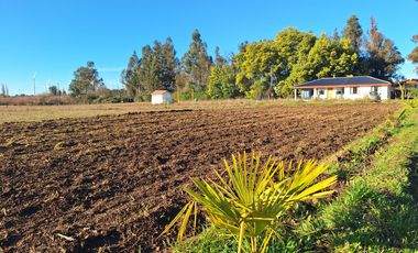 ESPECTACULAR CAMPO CON CASA  DE 3 HECTÁREA
