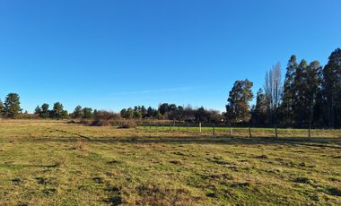 ESPECTACULAR CAMPO CON CASA  DE 3 HECTÁREA