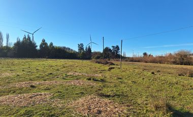 ESPECTACULAR CAMPO CON CASA  DE 3 HECTÁREA