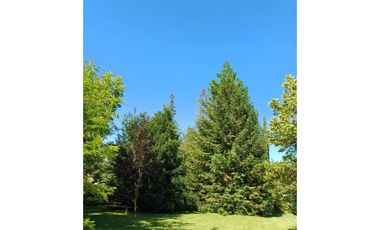 Se vende preciosa Casa Estilo Provenzal AMOBLADA en Sector El Carmen- Pirque