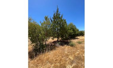 Lotes 6000 m2 Parcelas de agrado SANTA CRUZ