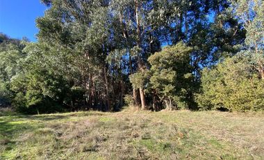 Lote 6000 m2 ideal parcelas de agrado SANTA CRUZ