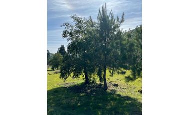 Lote 6000 m2 ideal parcelas de agrado SANTA CRUZ