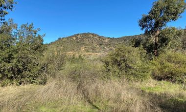 Lote 6000 m2 ideal parcelas de agrado SANTA CRUZ