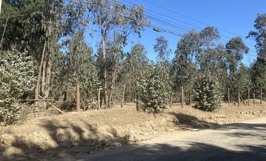 Sitio en Venta en Onceaba avenida con Tercera avenida