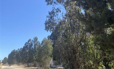 Sitio en Venta en Onceaba avenida con Tercera avenida