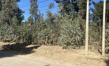 Sitio en Venta en Onceaba avenida con Tercera avenida