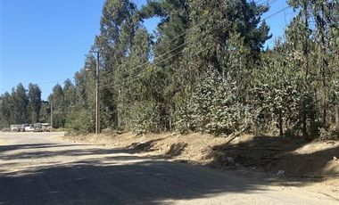 Sitio en Venta en Onceaba avenida con Tercera avenida