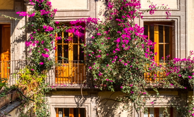 Venta de Casa en el Centro