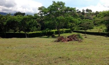 Venta Lote  La Mesa Cundinamarca