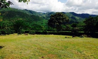 Venta Lote  La Mesa Cundinamarca