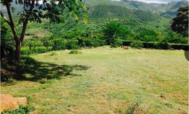 Venta Lote  La Mesa Cundinamarca