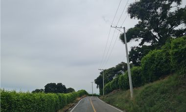 Venta Lote  La Mesa Cundinamarca