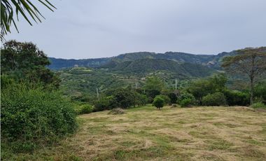 Venta Lote  La Mesa Cundinamarca