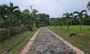 Venta Lote  La Mesa Cundinamarca