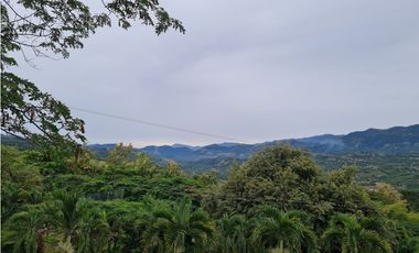 Venta Lote  La Mesa Cundinamarca