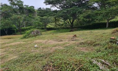 Venta Lote  La Mesa Cundinamarca
